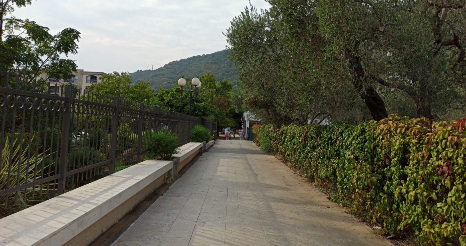 A lot of trees and nature in Petrovac