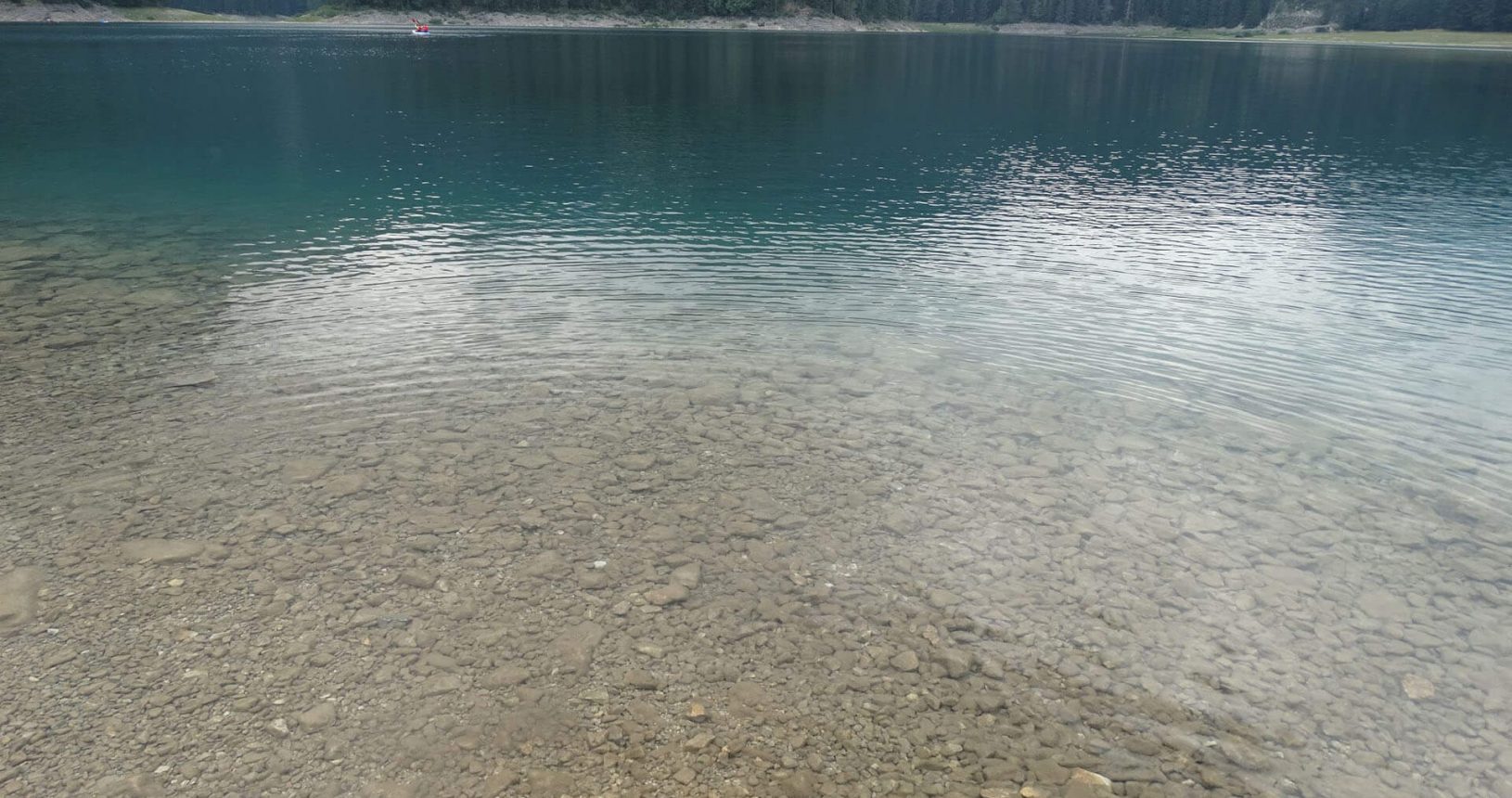Clear water in Black lake in National Park Durmitor