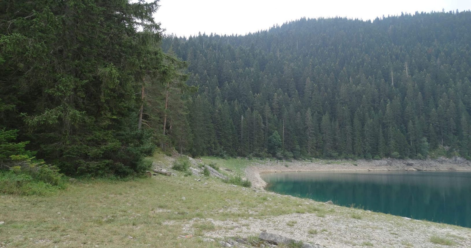 Pure nature in National Park Durmitor