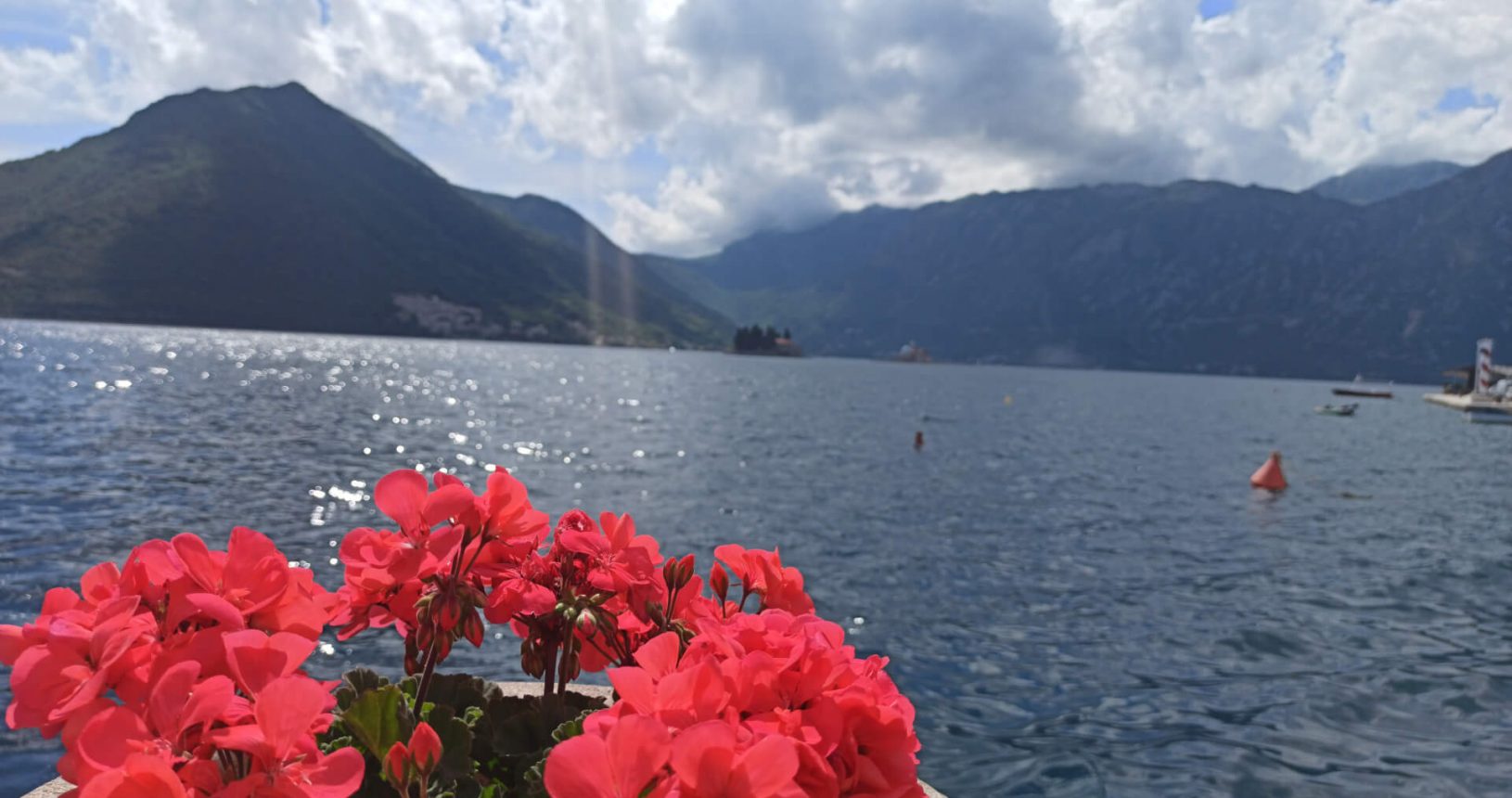 Summer flowers and the sea Perast