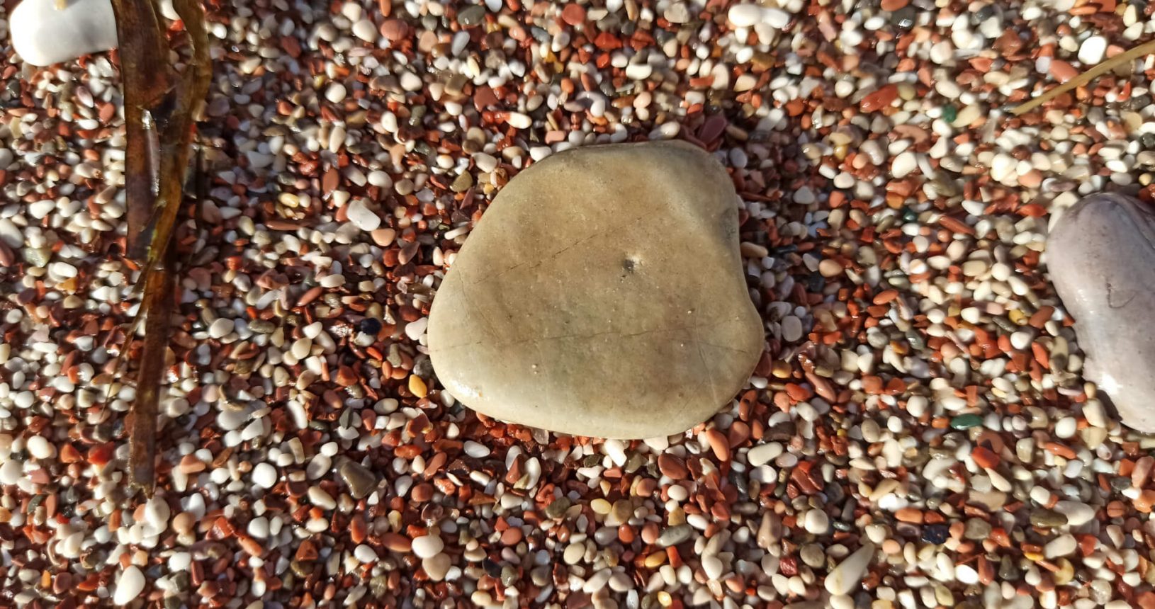 Red pebble. Stony Milocer beach