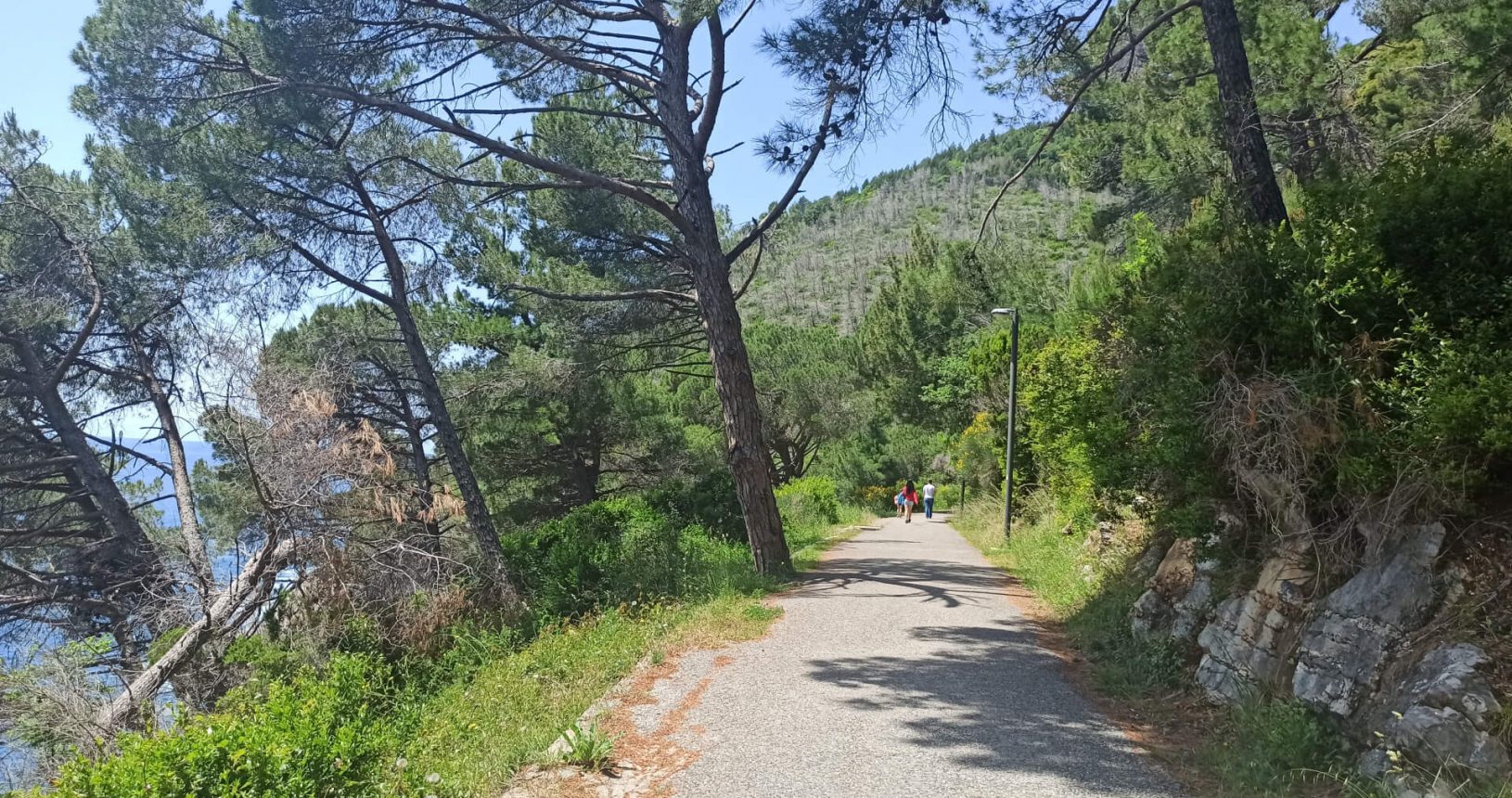Summer green colours. Walking trail Petrovac Rezevici