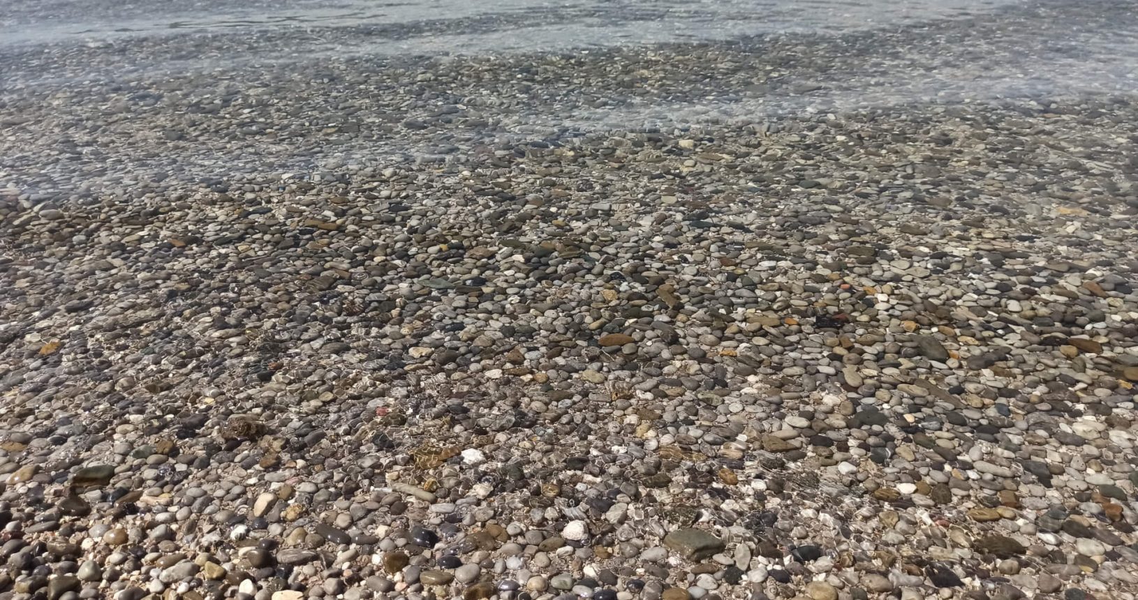 Very clean and transparent water. Kalardovo beach