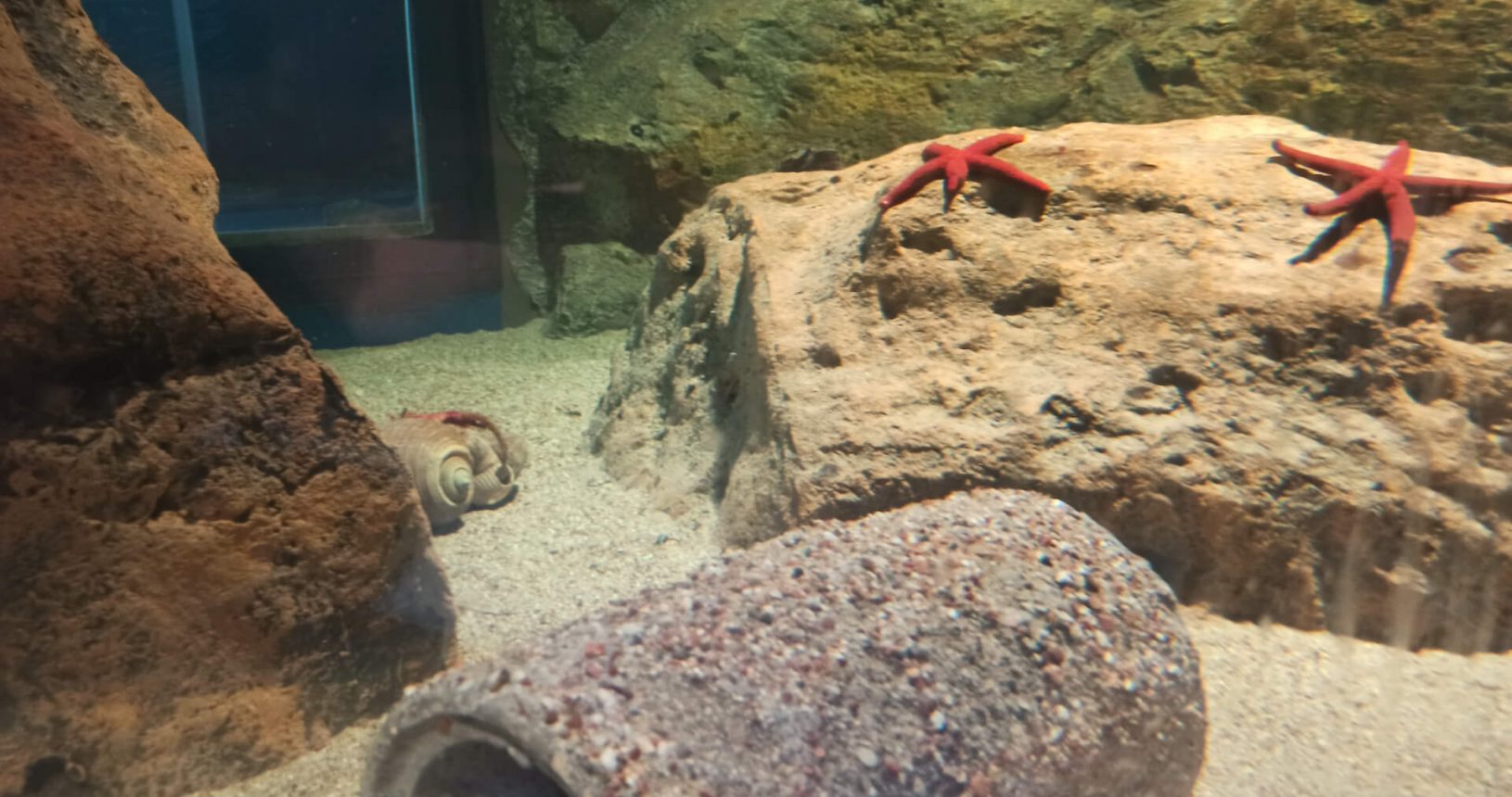 Under water sea world in Boka Aquarium