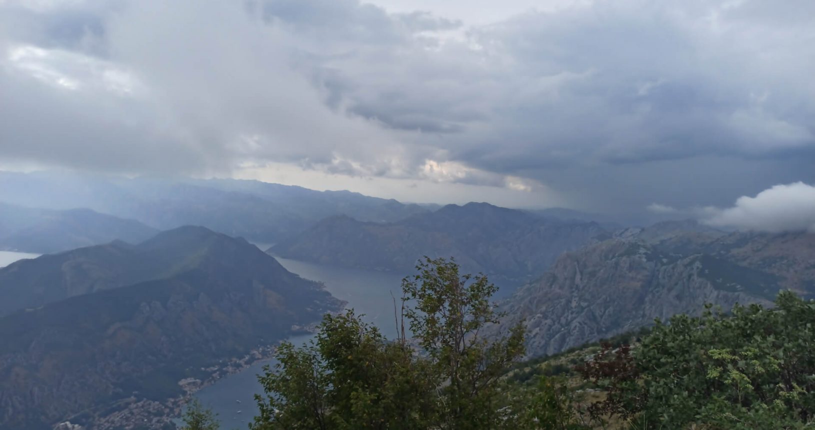 View point for Kotor and Tivat Bay and trees
