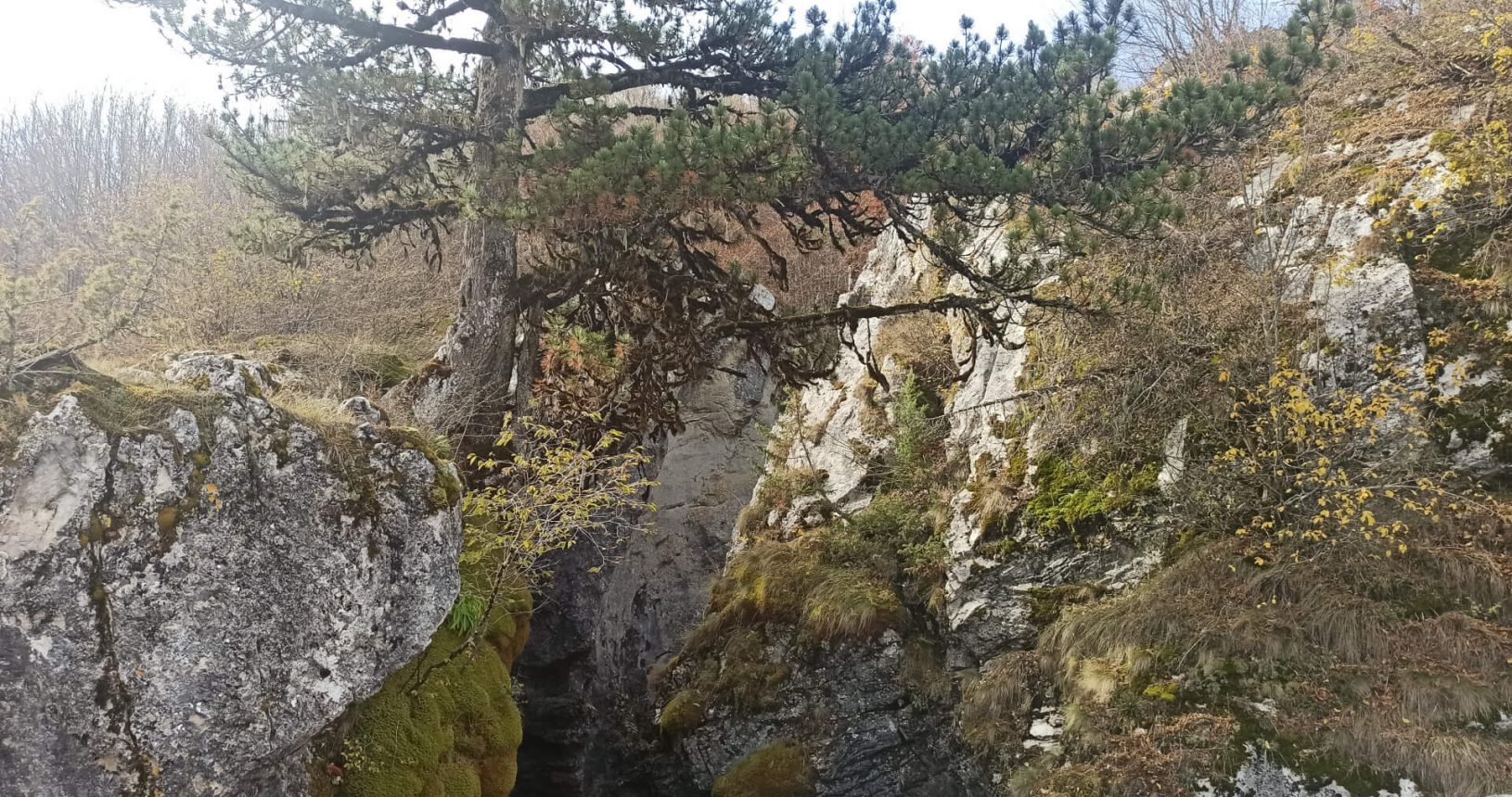 Hills above Ujvara waterfall