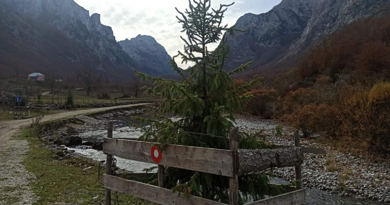 Tender Christmas tree at national park Prokletije