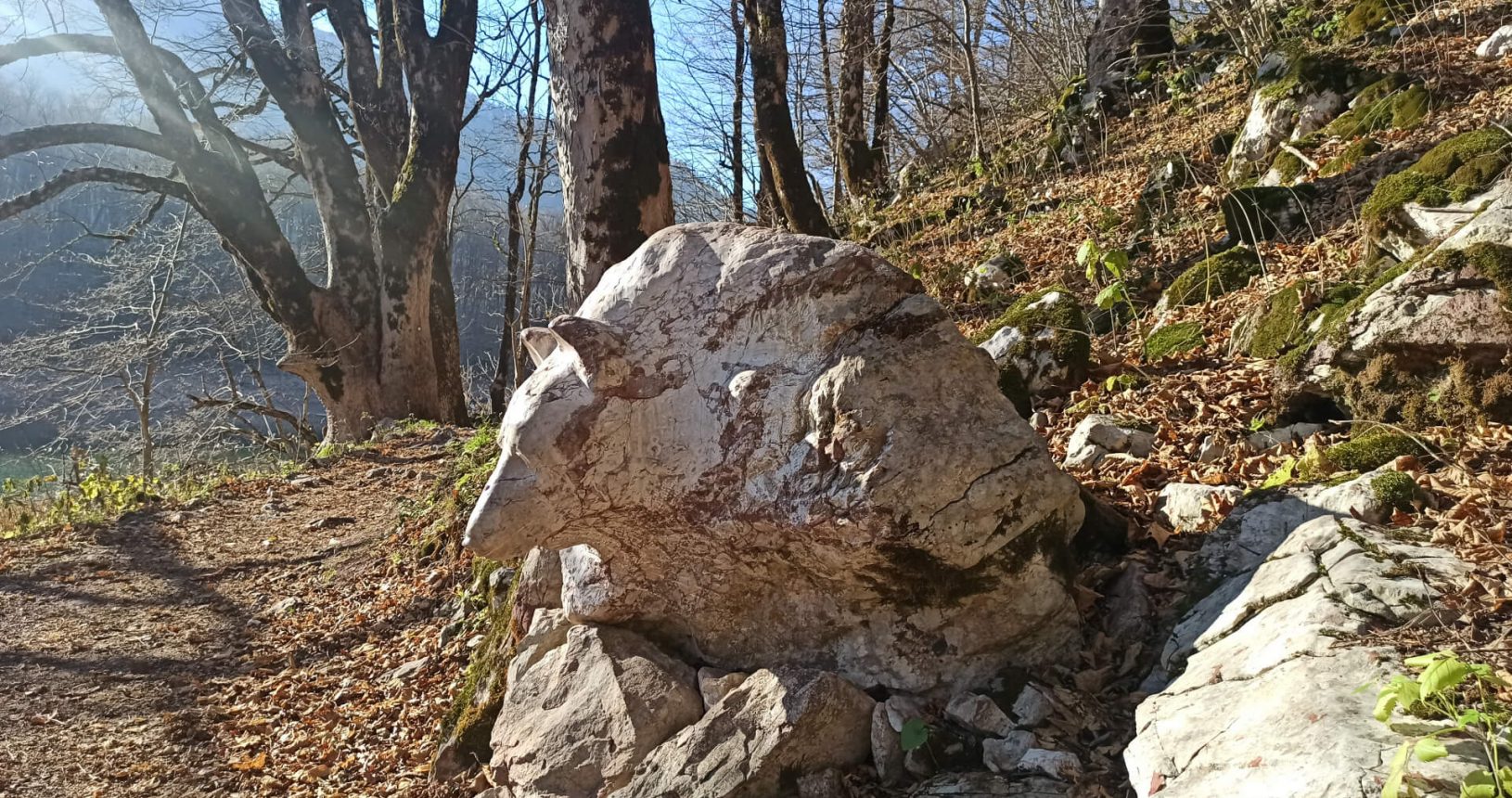 Bear shape stone National Park Biogradska Gora