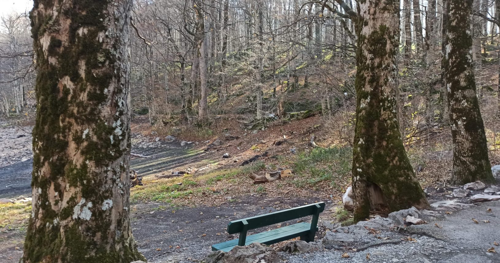 Bench near the lake National Park Biogradska Gora