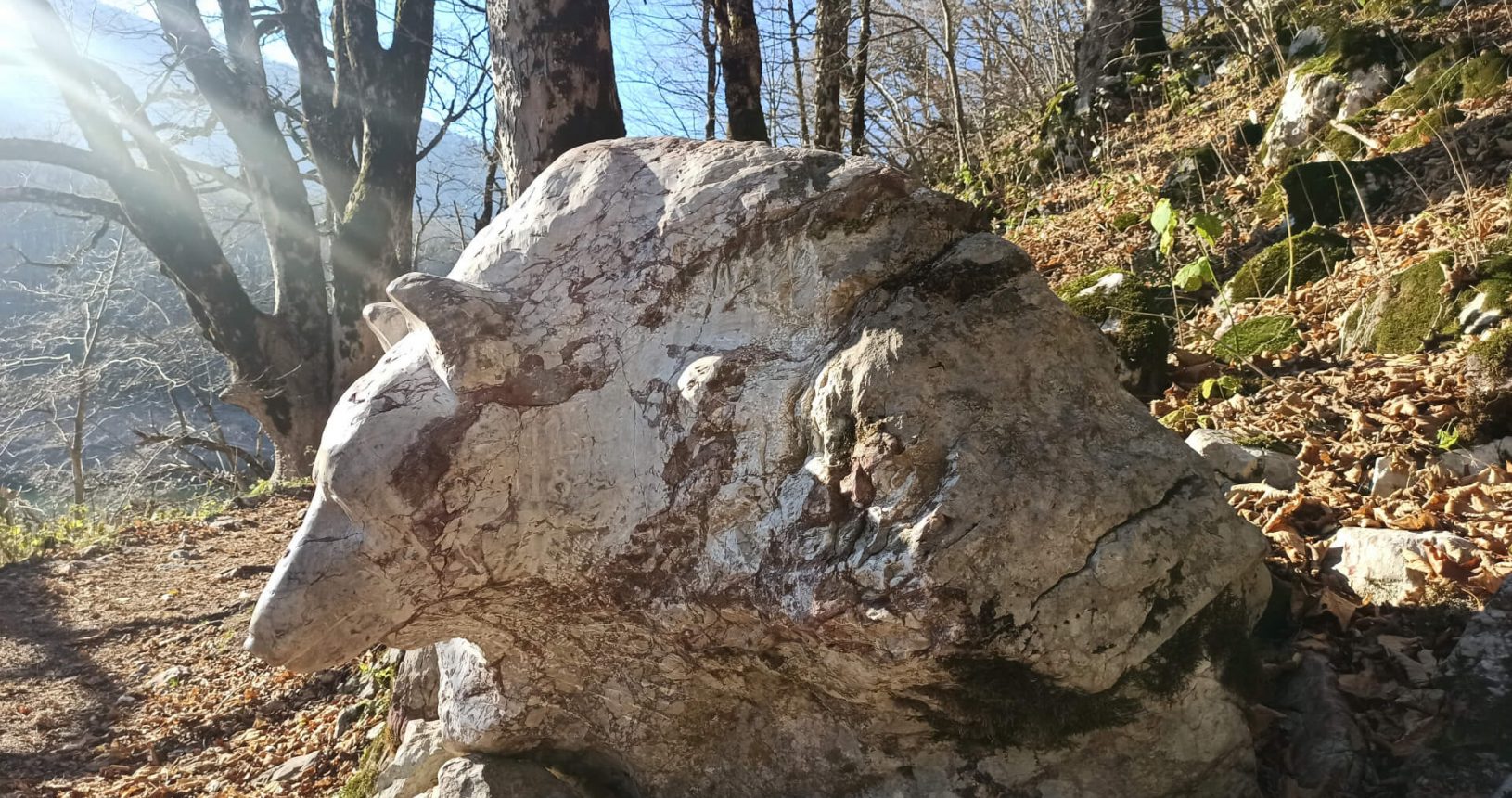Big stone in a shape of bear National Park Biogradska Gora