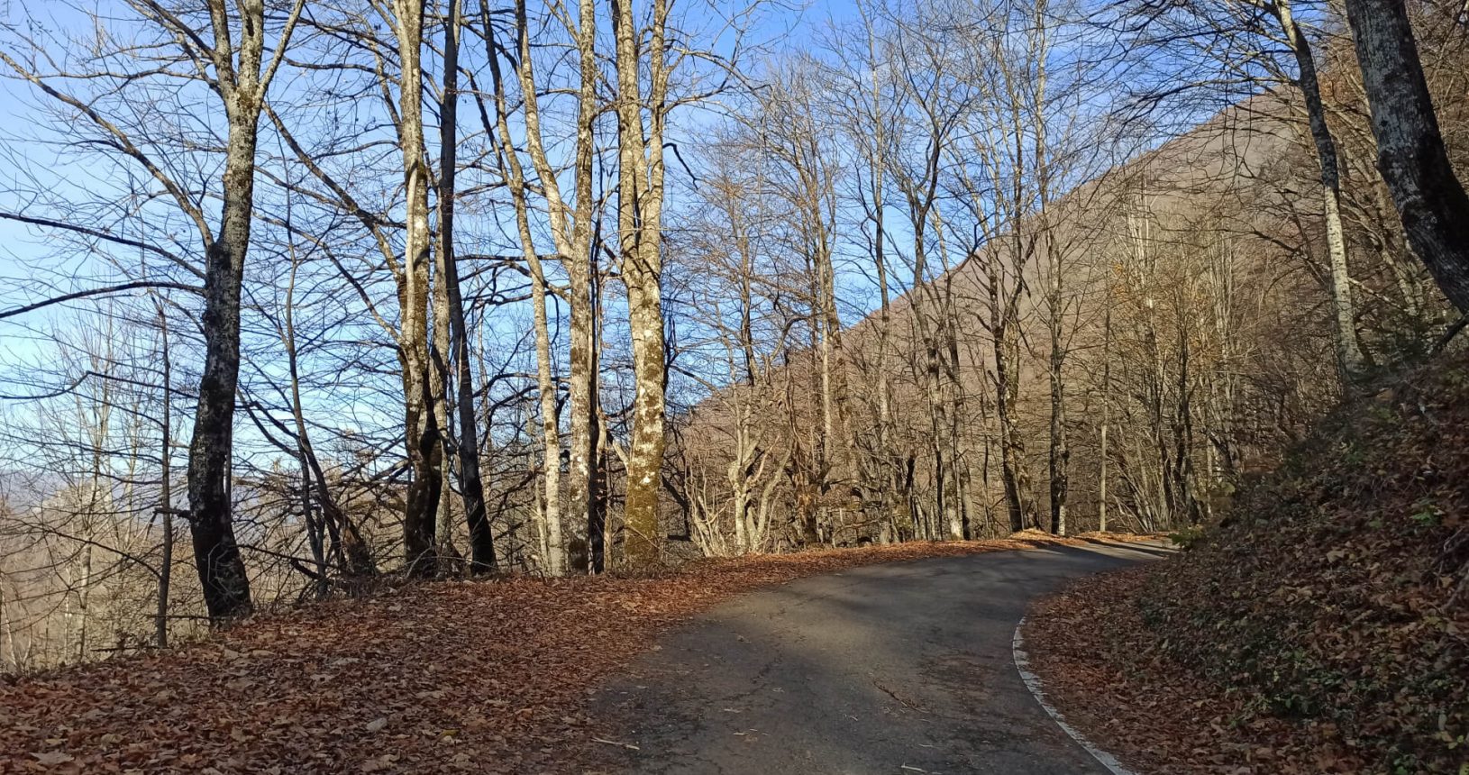 The road at the beginning of the National Park Biogradska Gora