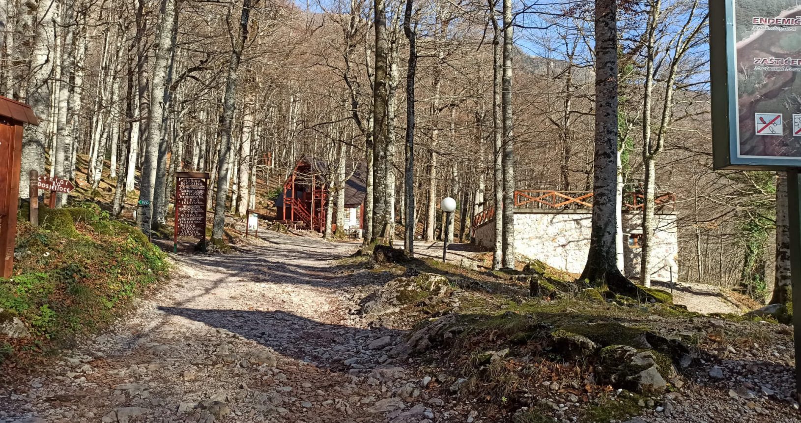 Trail to the forest National Park Biogradska Gora