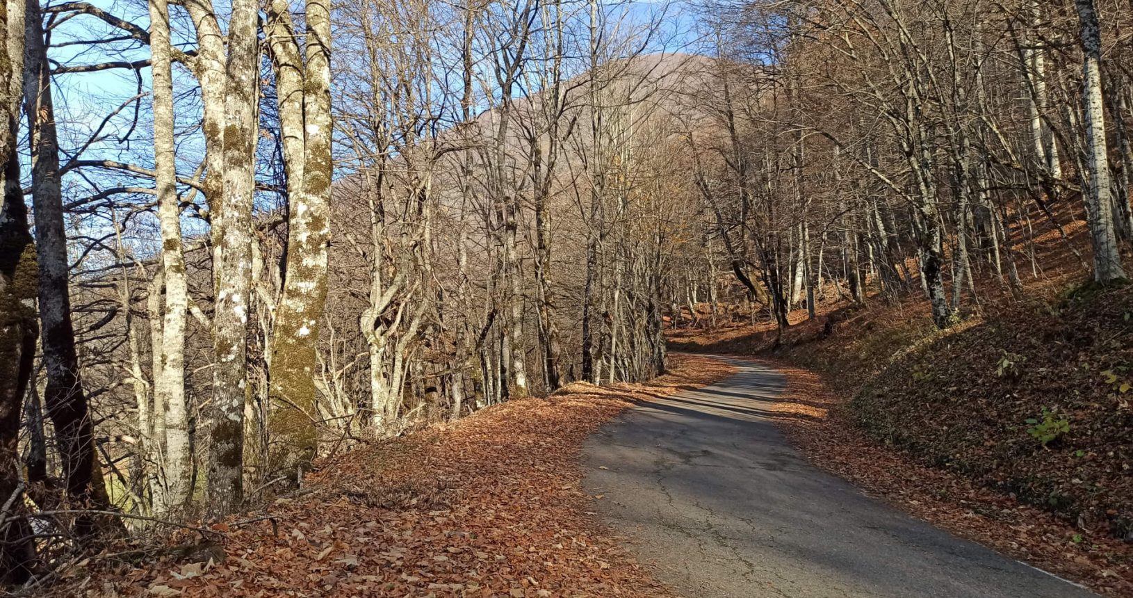 Winding road at the National Park Biogradska Gora