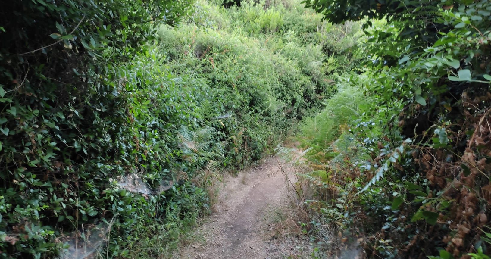 Thin winding Ulcinj hiking trail