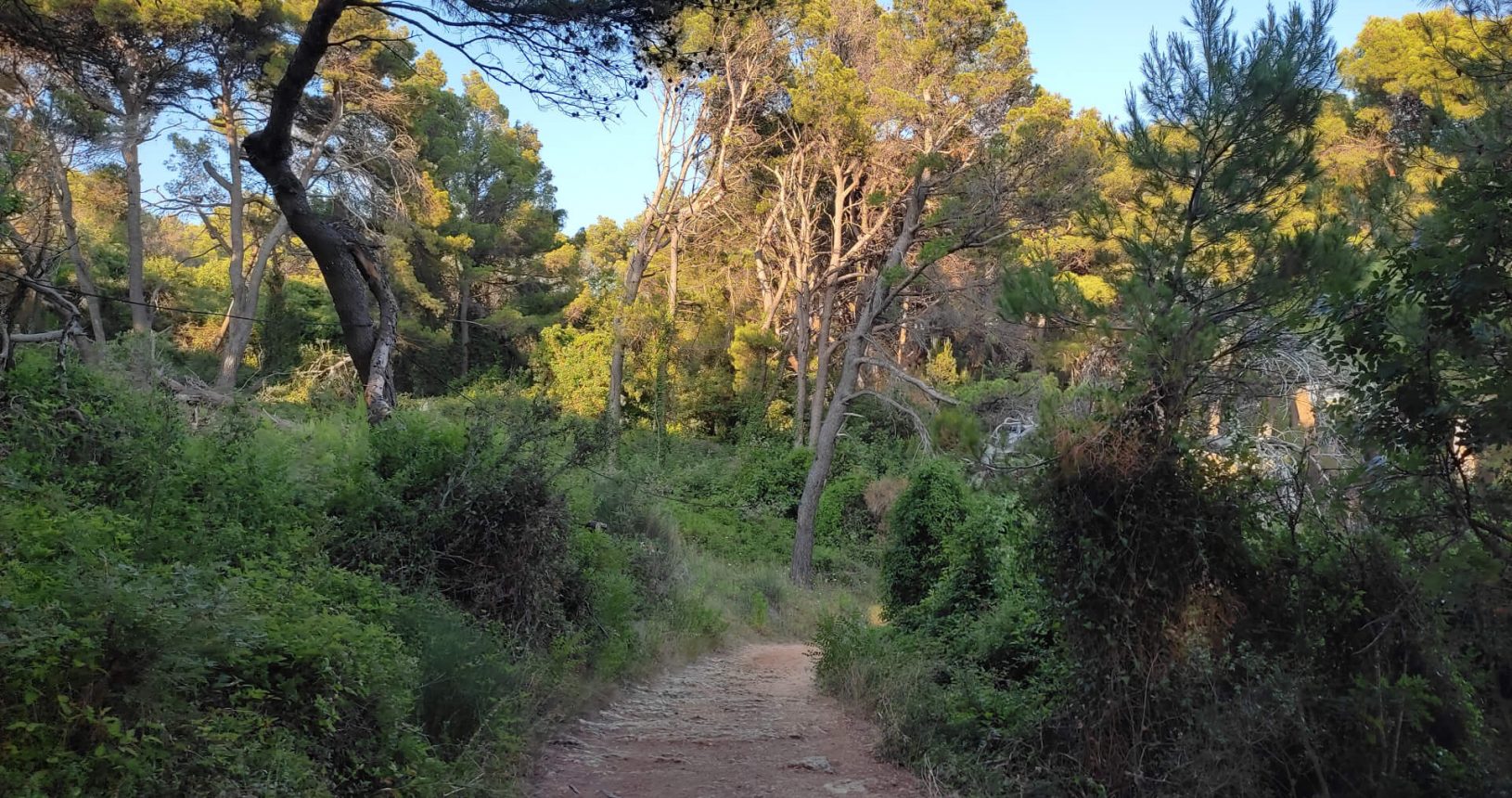 Ulcinj hiking trail in pure nature