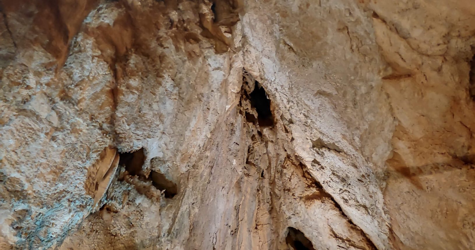Holes in the wall in Lipa Cave