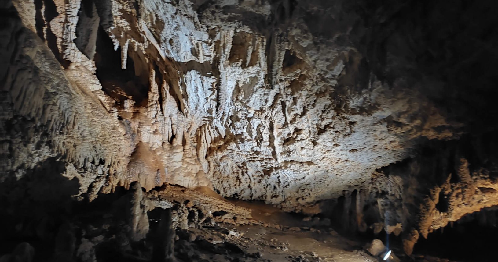 In dark corners of Lipa Cave