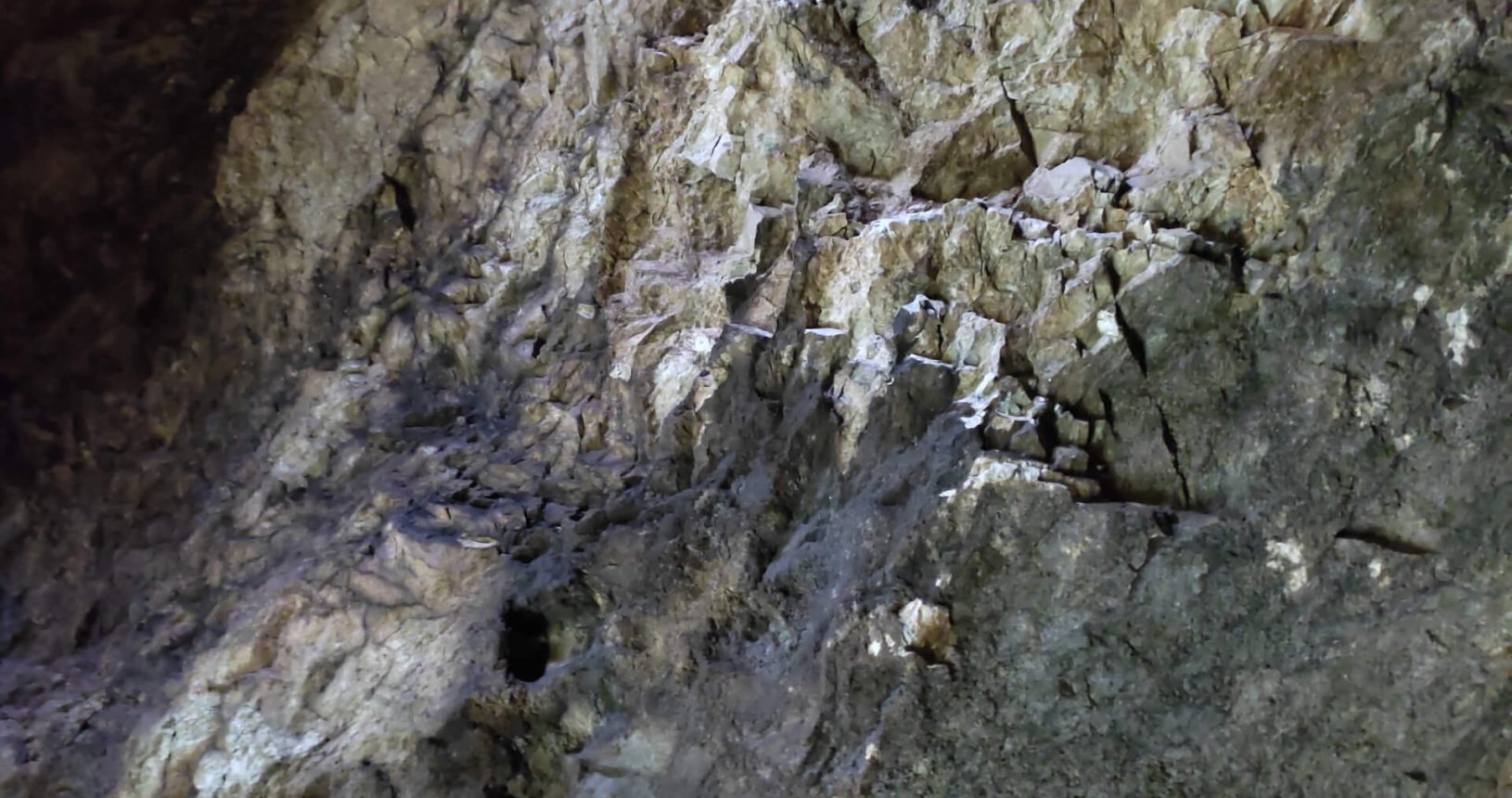 Wall of Lipa Cave