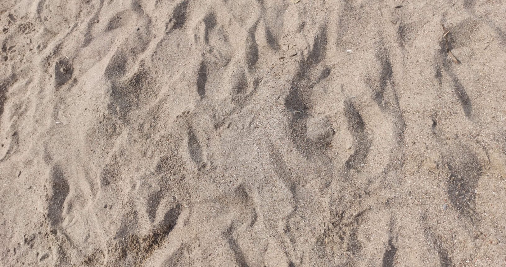 Luchica Beach sand