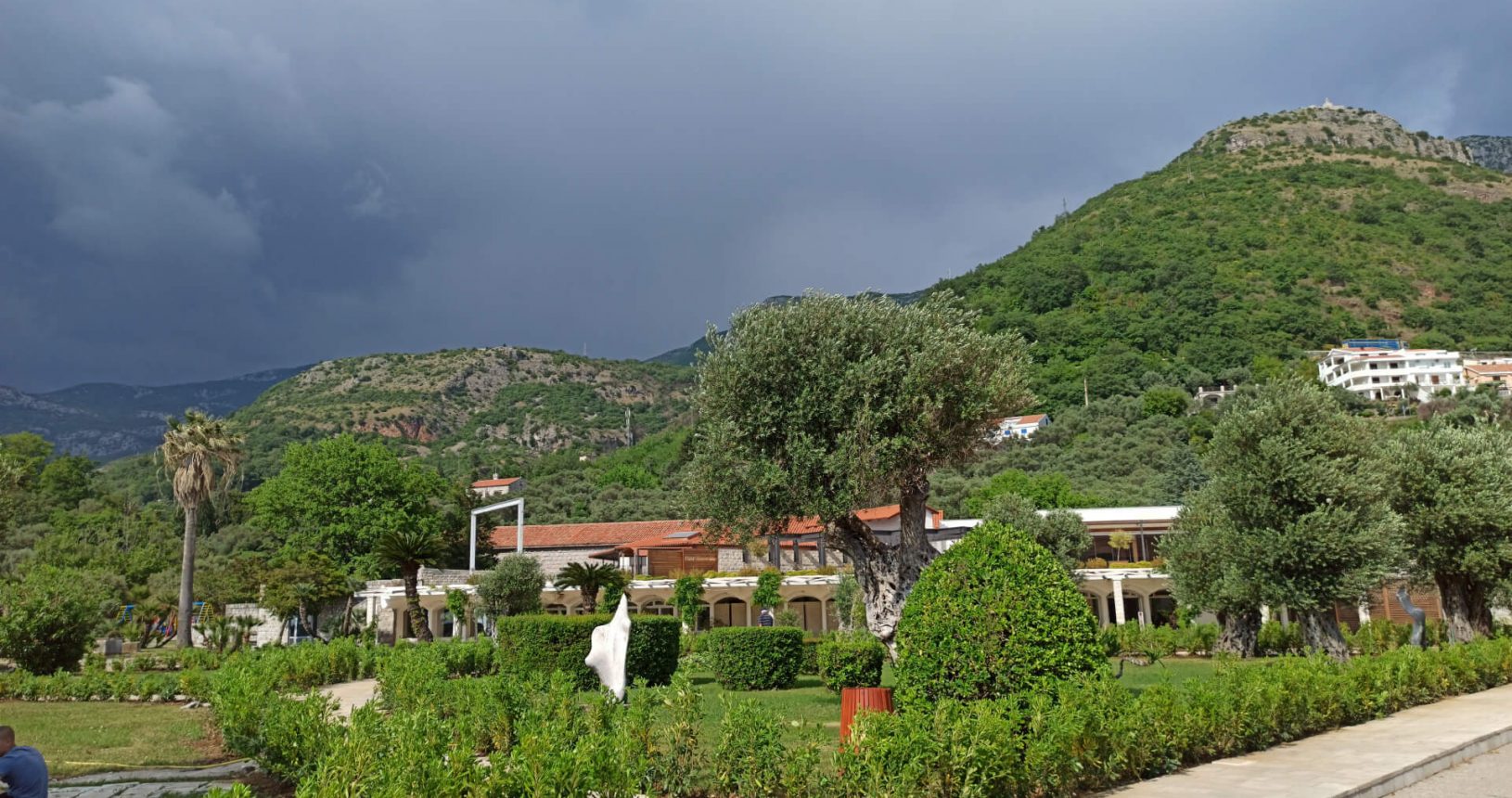 Always green park Sveti Stefan