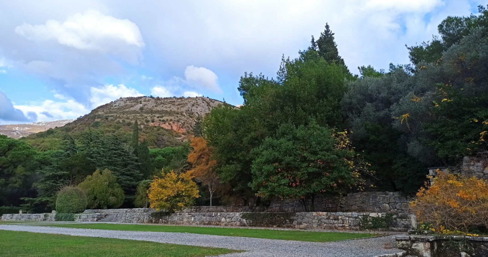 Autumn colours in the garden. Park Milocer