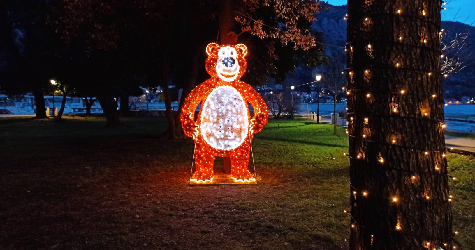 Kotor lights bear