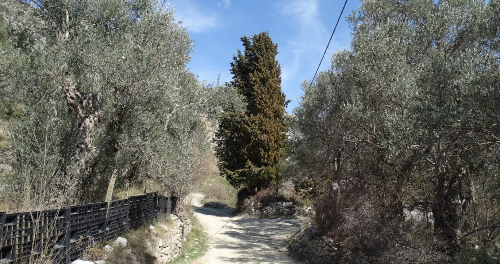 Olive road to Bar Waterfall
