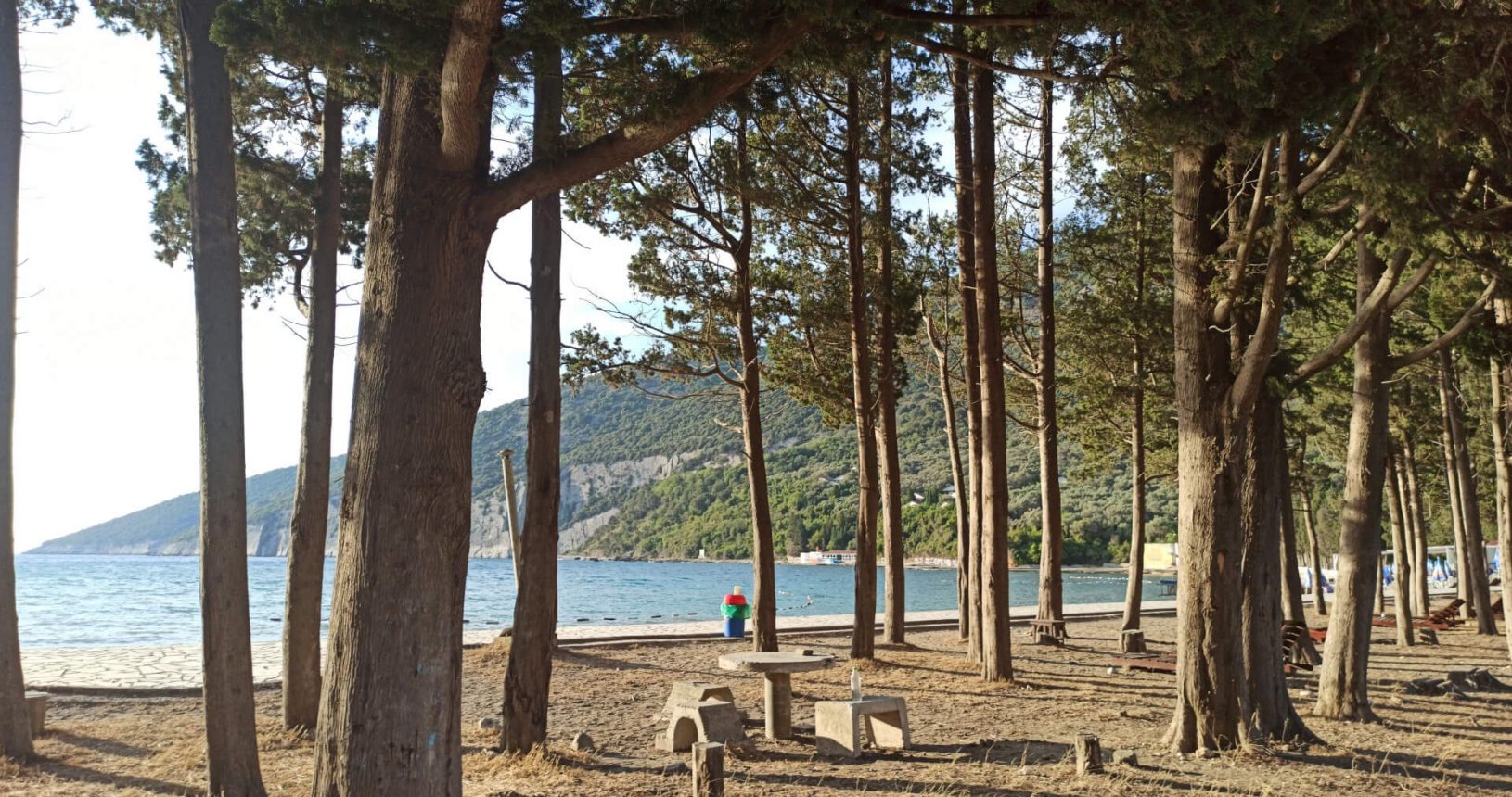 Forest in the Valdanos beach