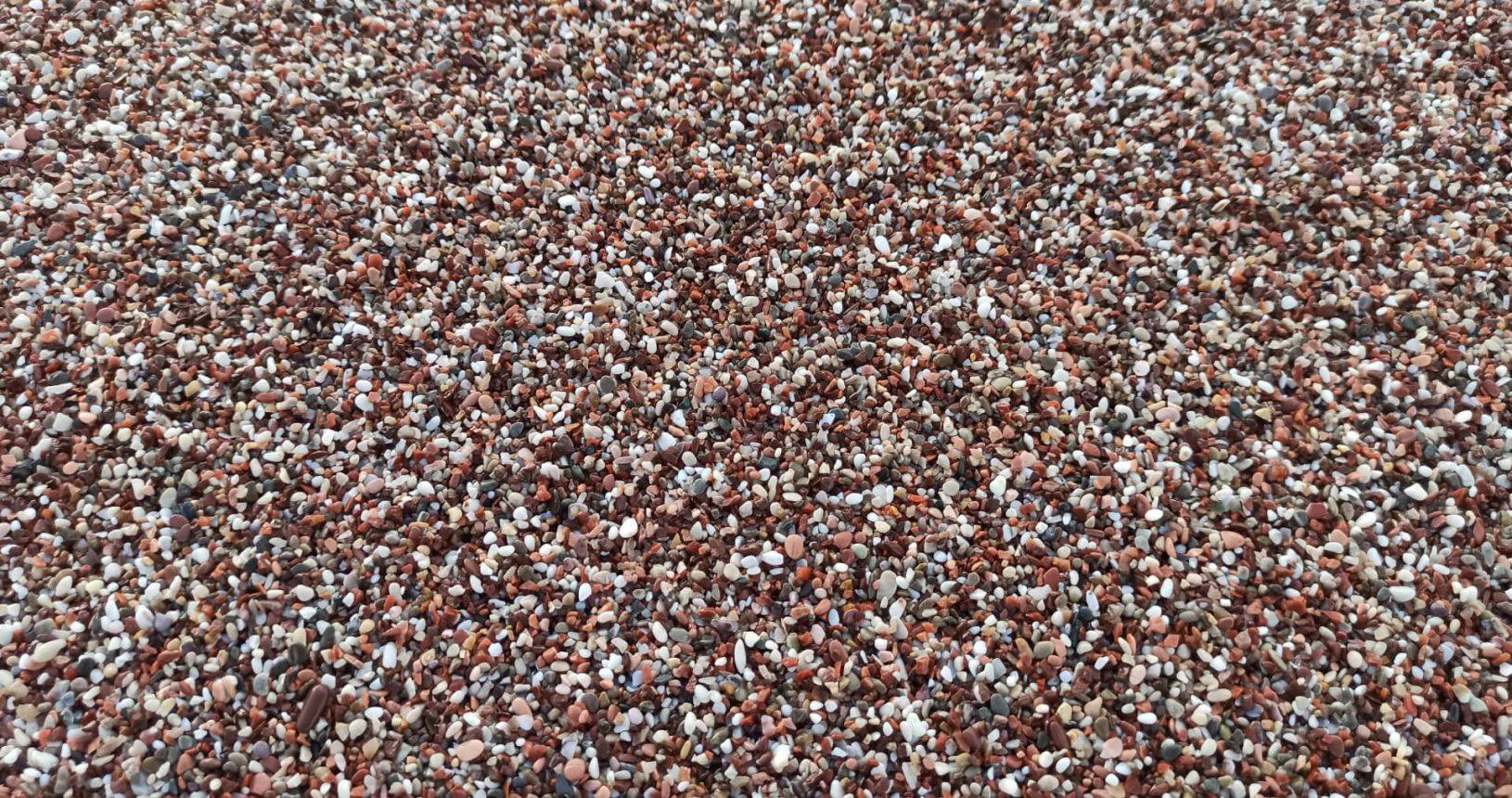 Perfect red pebble. Kings beach