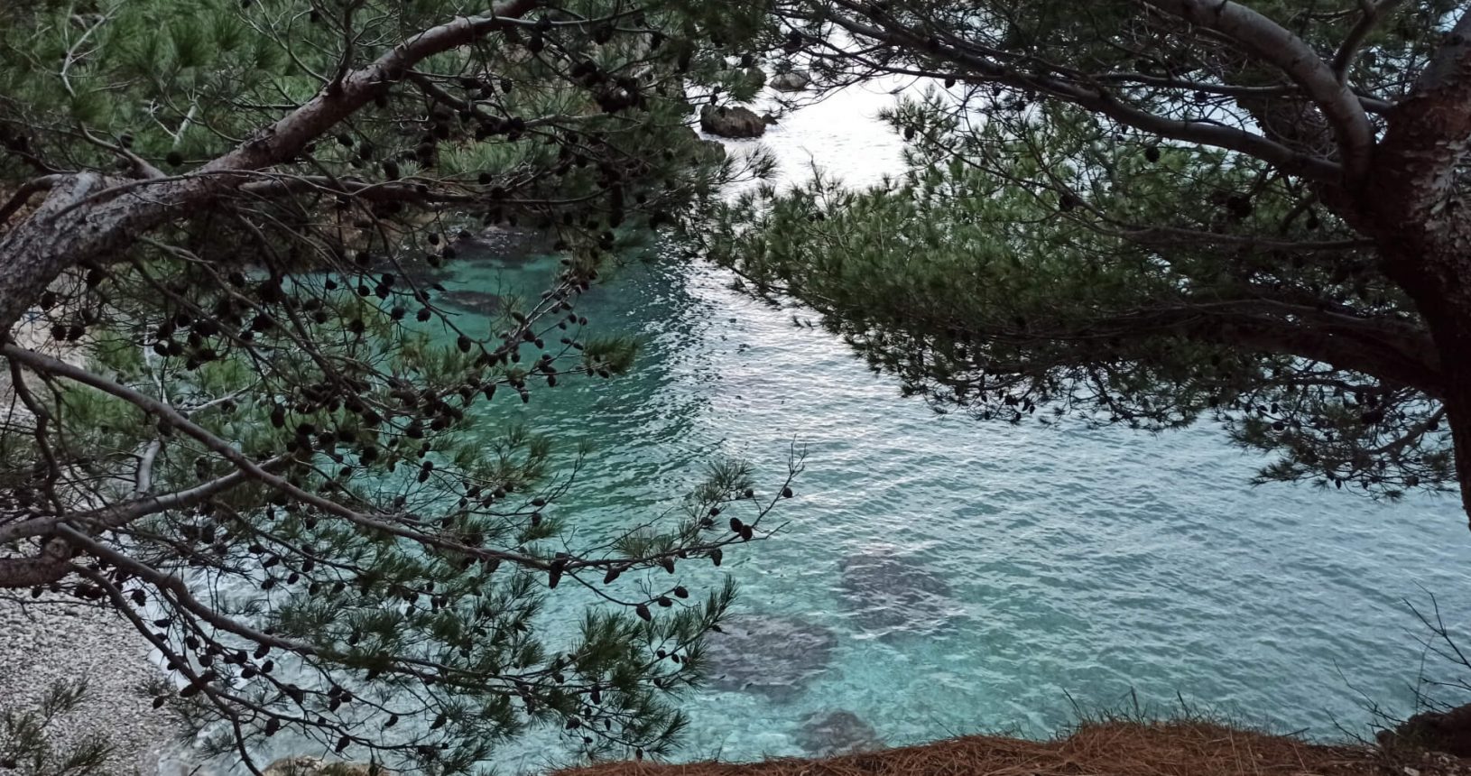 View between trees from the top. FKK Sutomore Beach