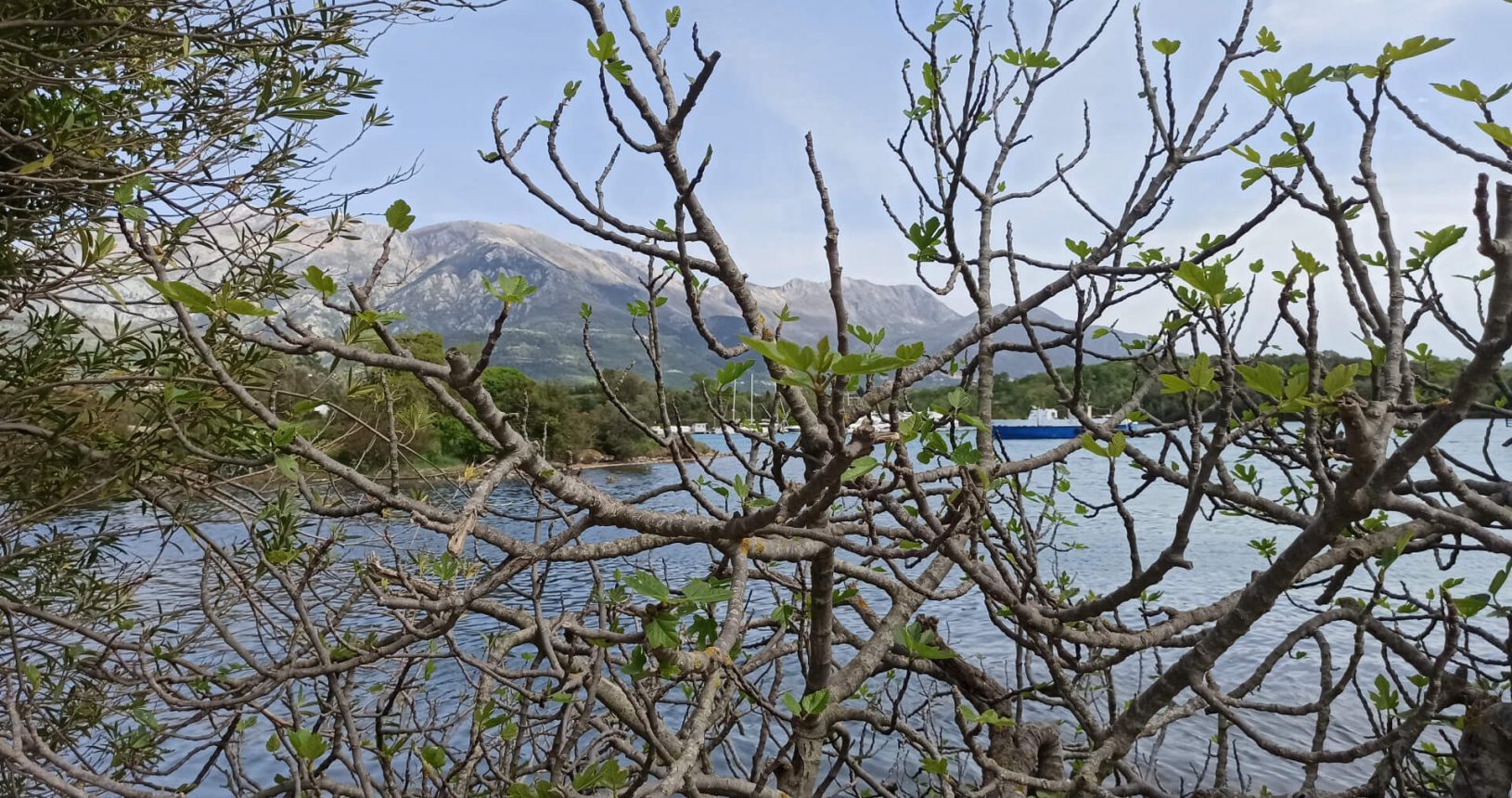 Ship and mountains behind the trees. The island of flowers