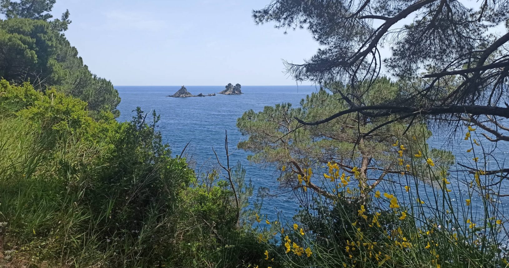 Trees and flowers islands from Walking trail Petrovac Rezevici