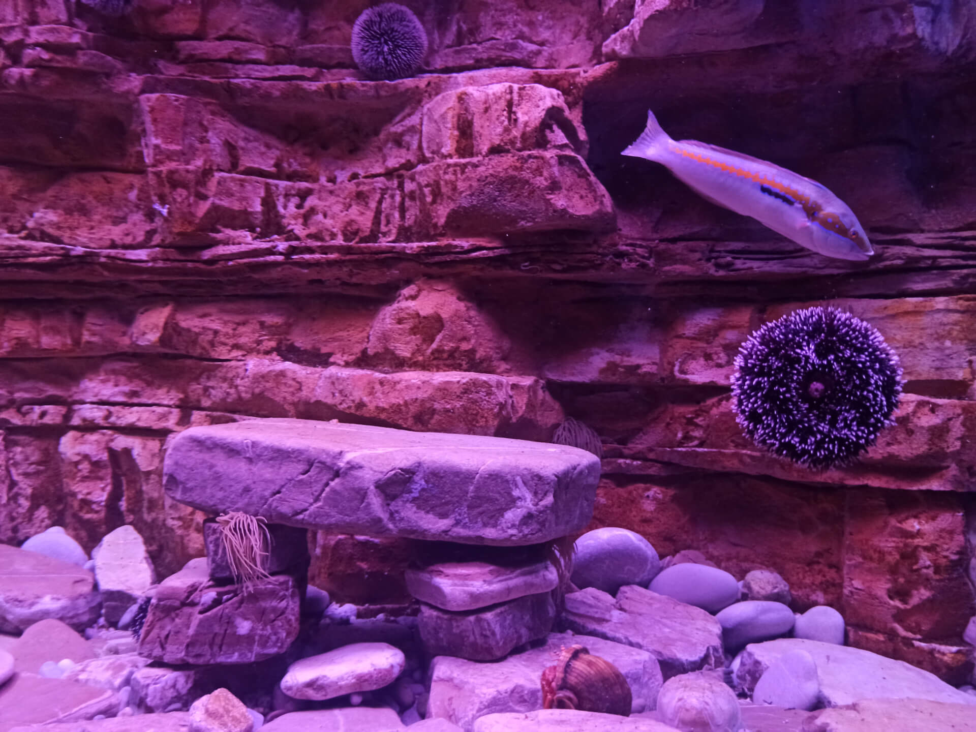 Boka Aquarium
