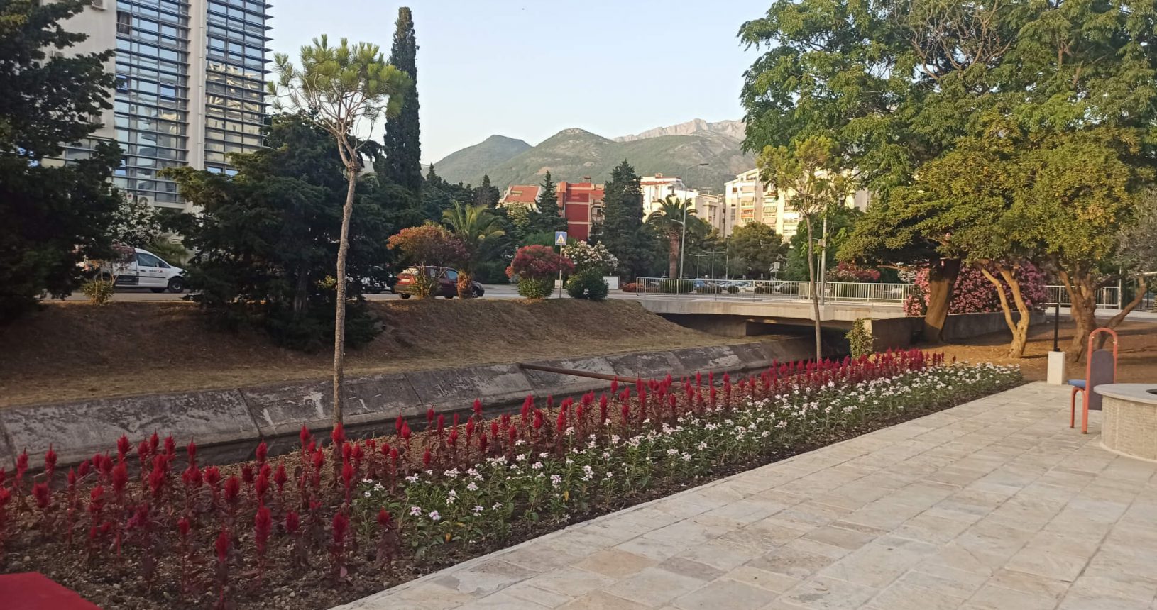 Flowers around the new square in Bar