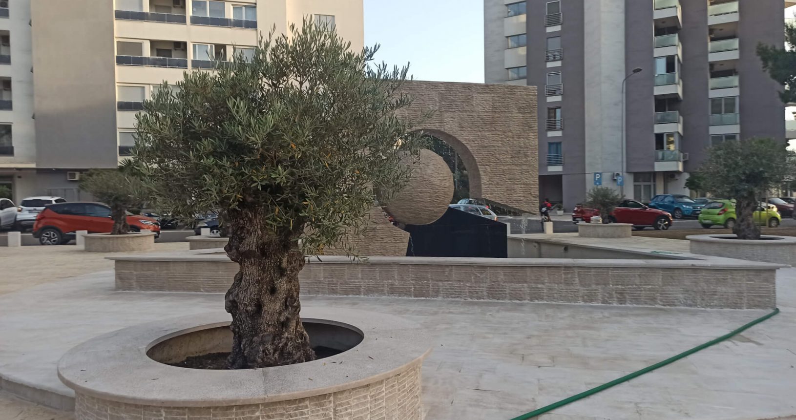Fountain and olive tree in a new square