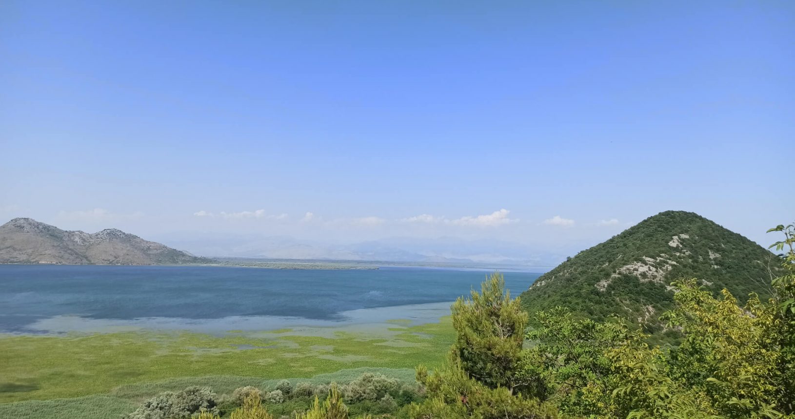 Green Skadar lake and the hill