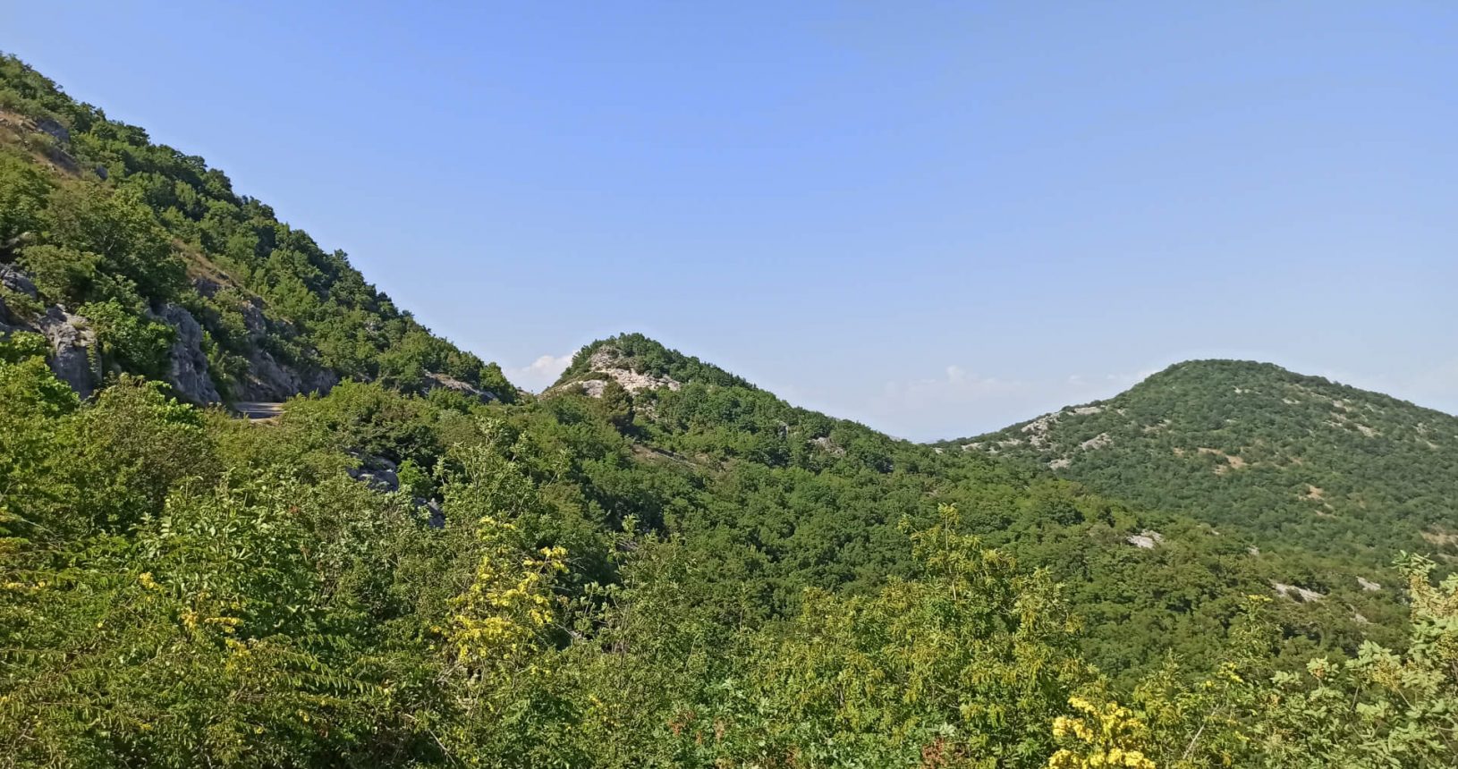 Green mountains with flowers at Skadar lake