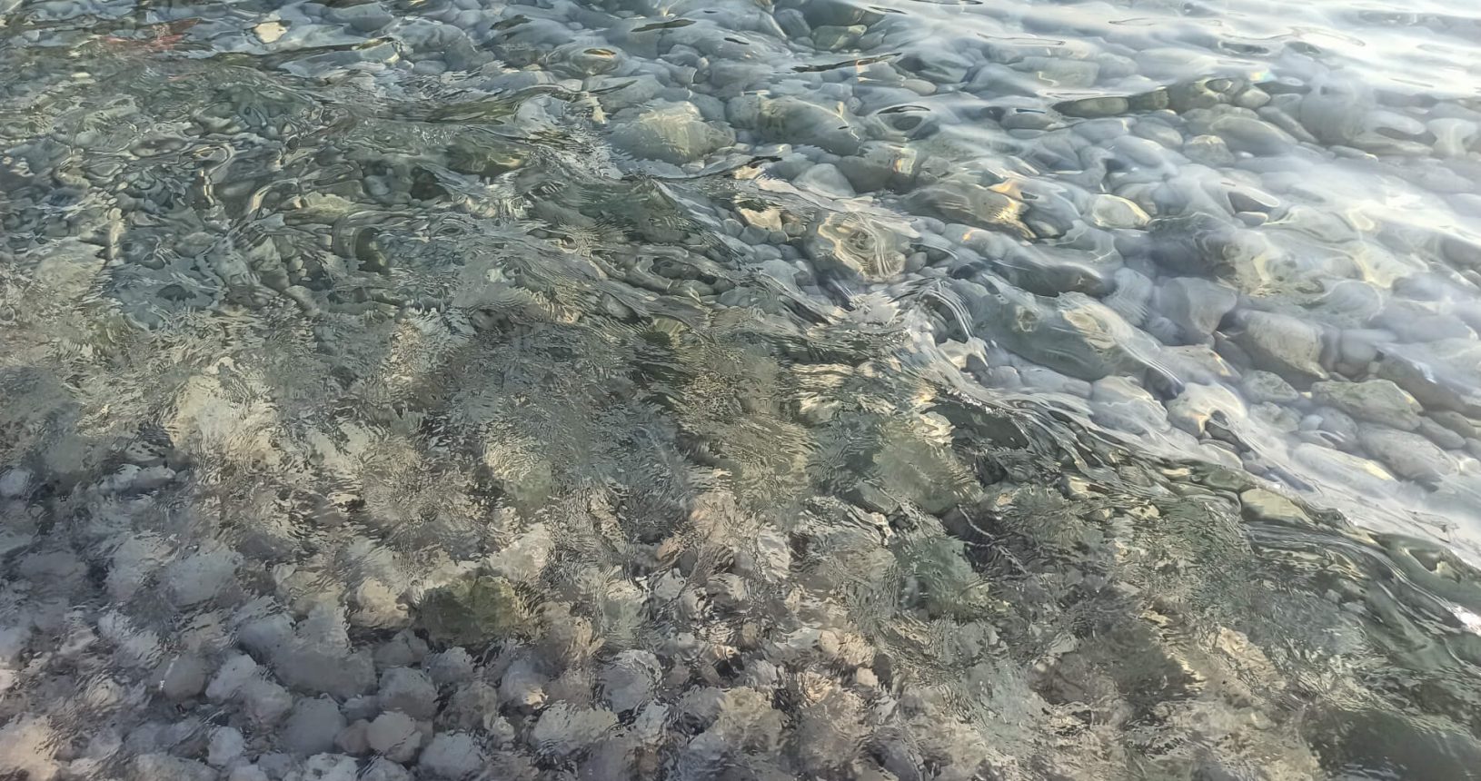 Incredible transparent Adriatic sea 1627244030542. Paljuskovo beach