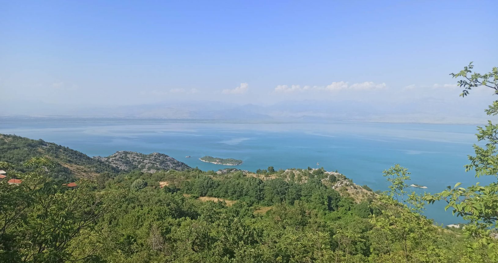 Skadar lake and green forest.