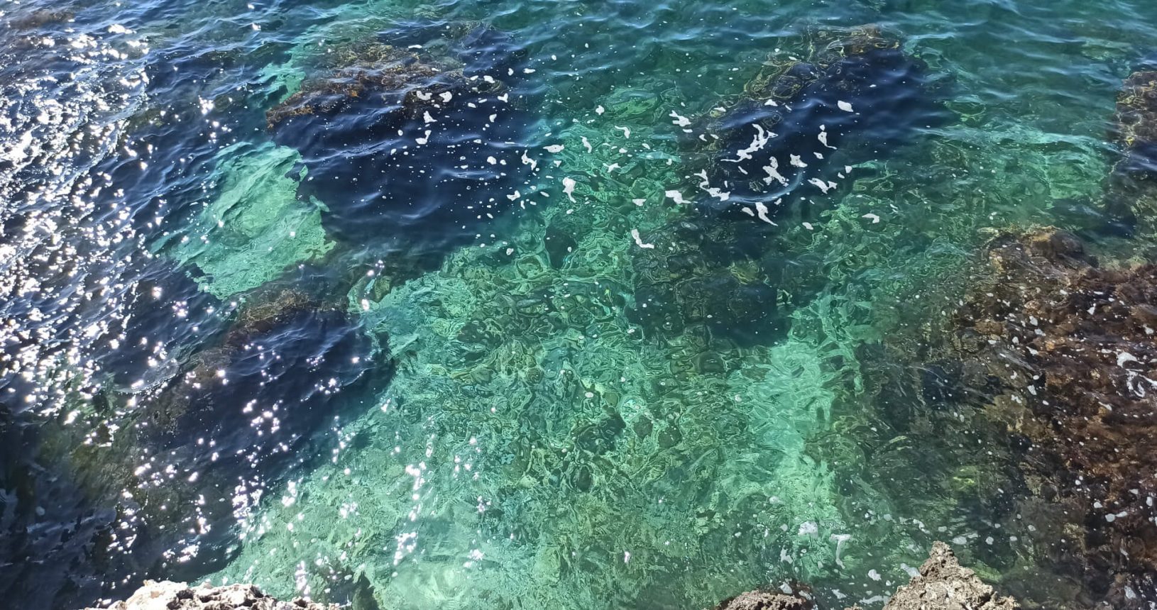Amazing transparent turquoise sea on Hladna Uvala 1633447933347