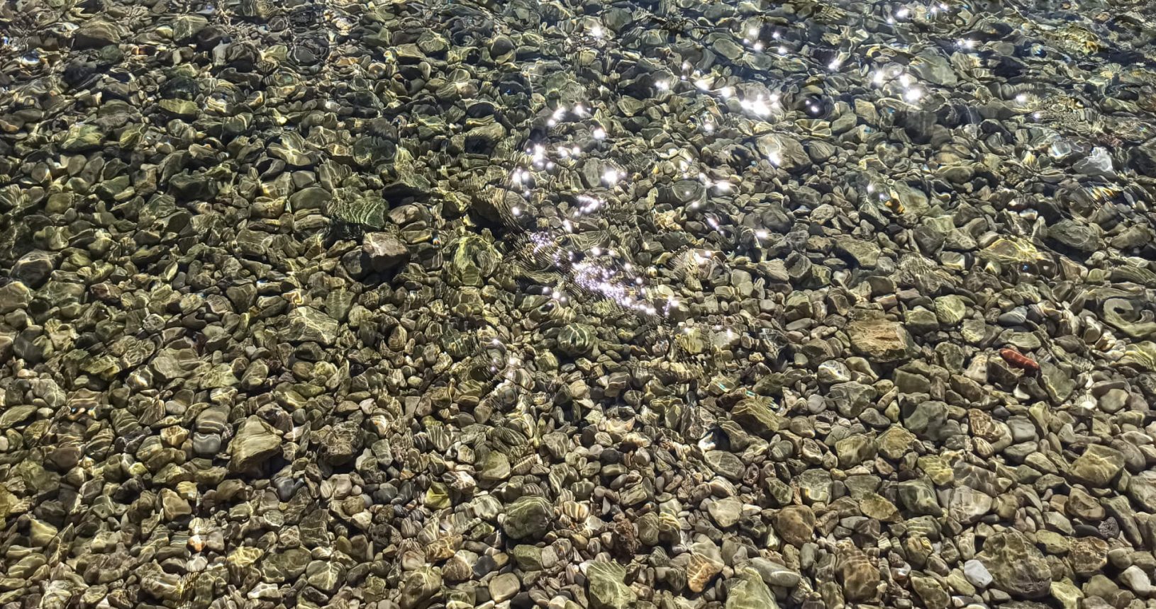 Lovely transparent sea water at Hladna Uvala
