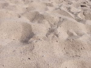 Tender white sand at Portonovi Beach