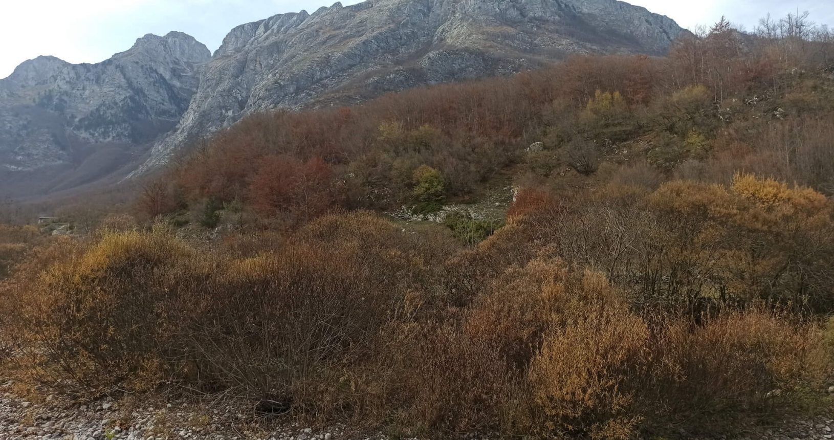Autumn colours at mountains national park Prokletije