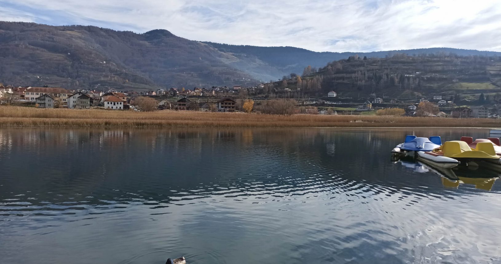 Ducks in Plav lake