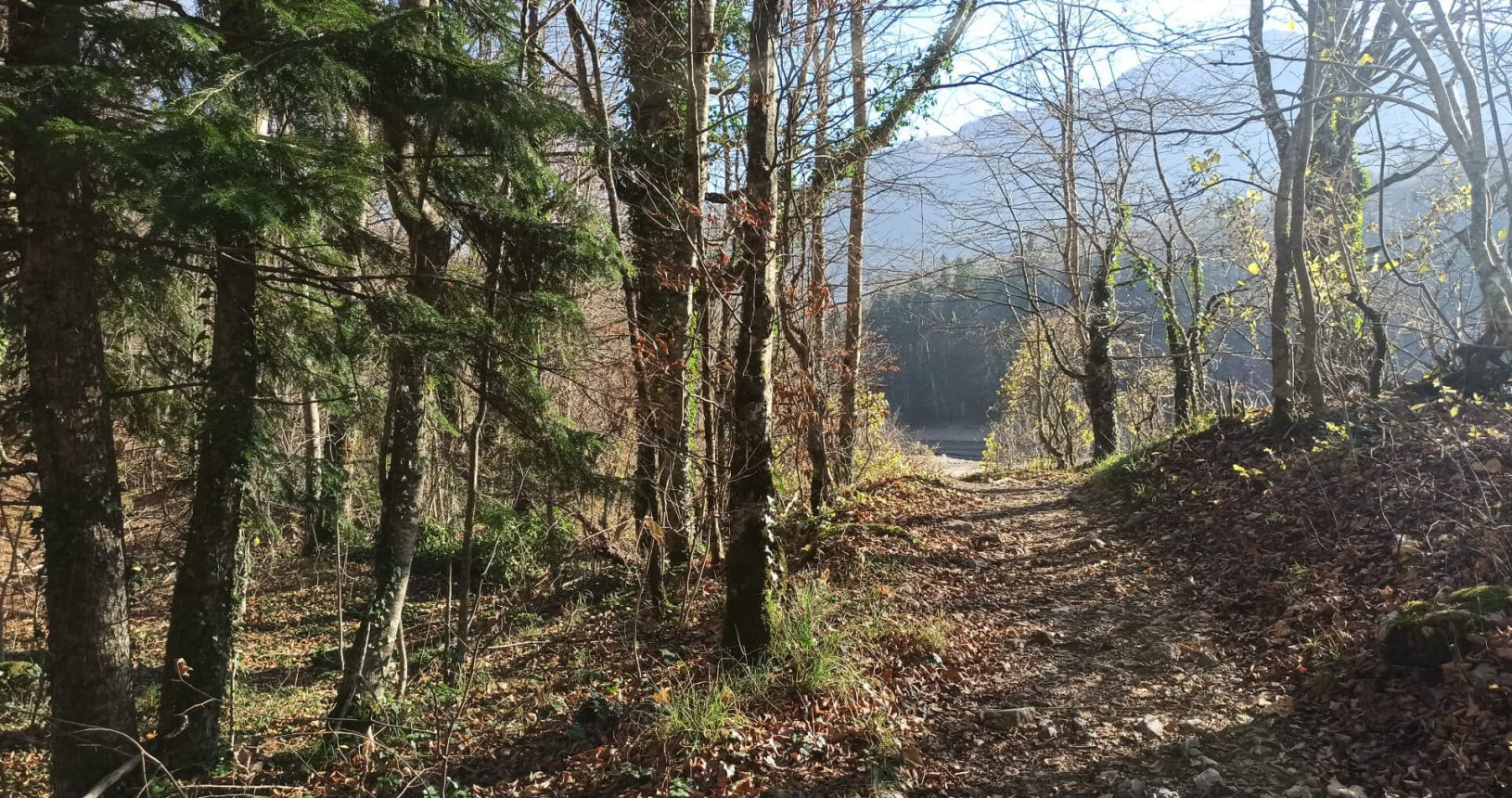 Autumn trail National Park Biogradska Gora