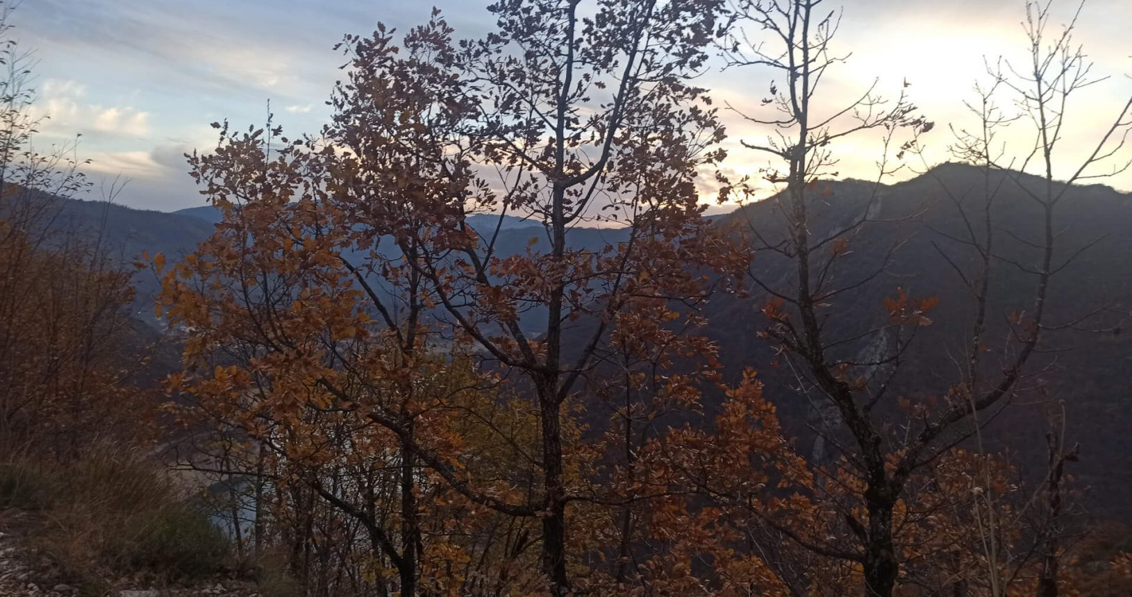 Autumn trees at Piva lake observation platform