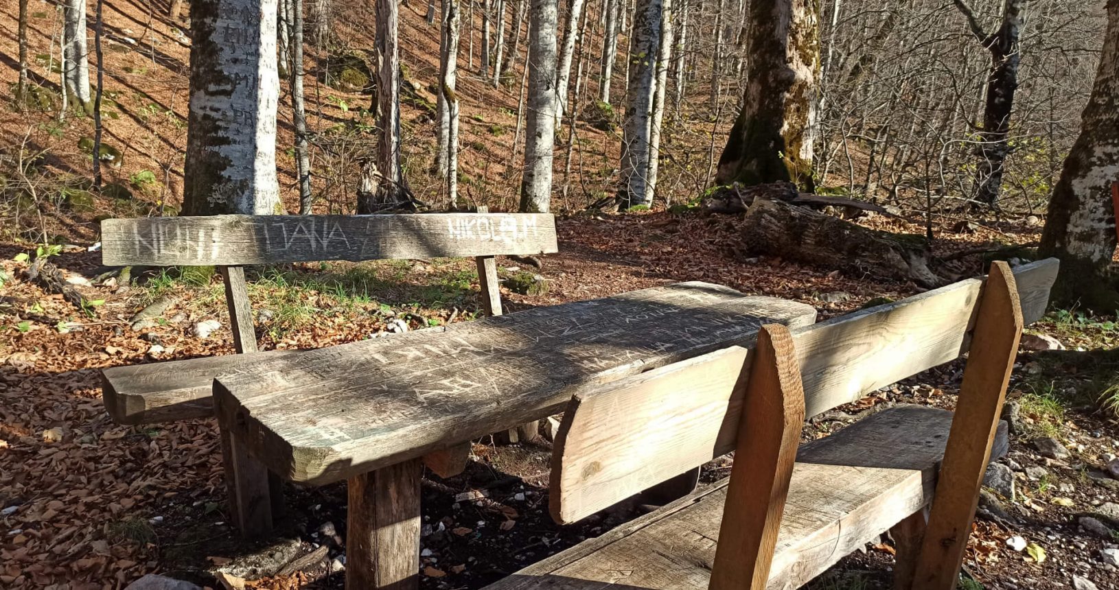 Bench in the forest National Park Biogradska Gora