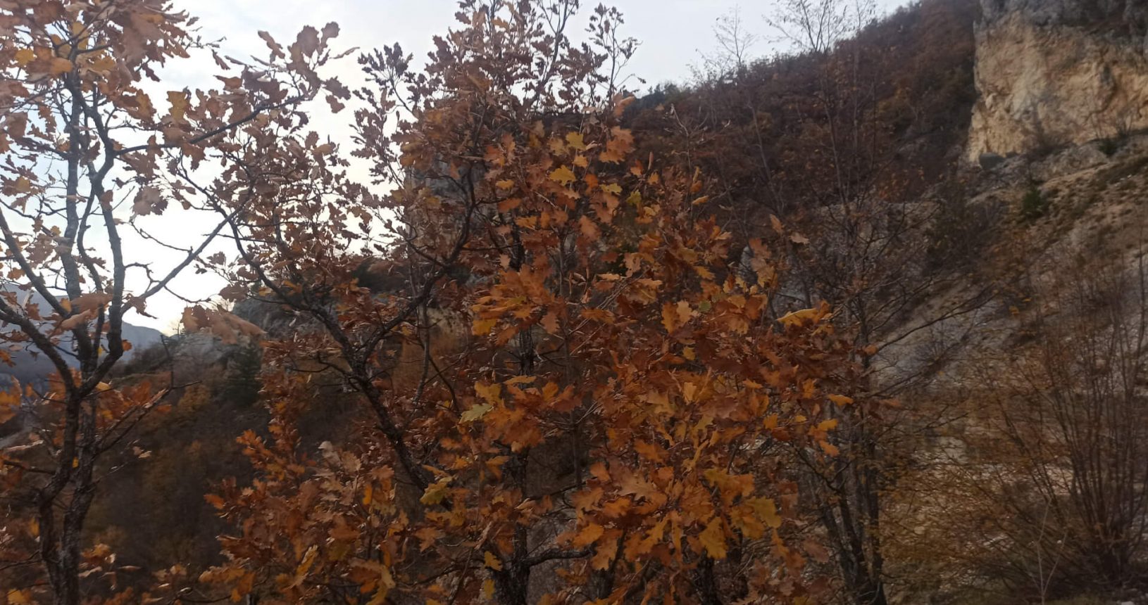 Bright autumn at Piva lake observation platform