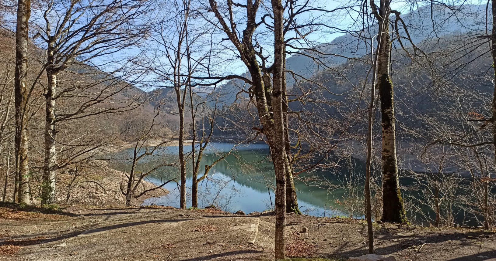 Lake and mountains from the forest National Park Biogradska Gora