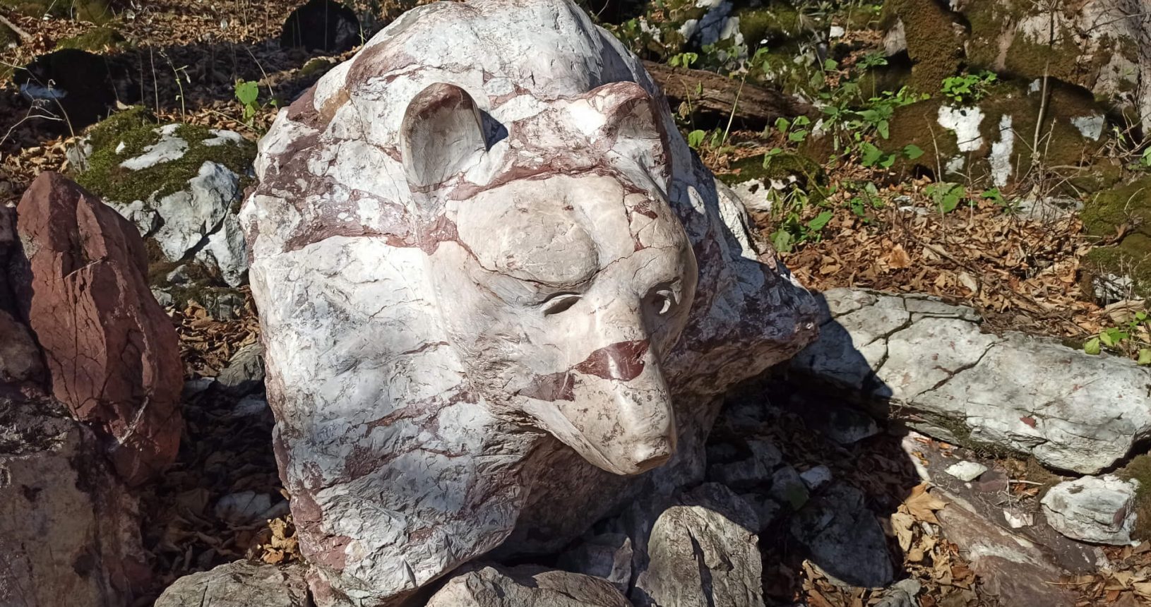 National Park Biogradska Gora bear stone